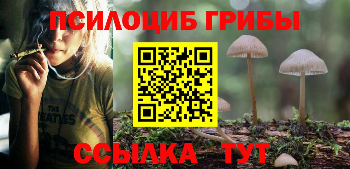 Псилоцибиновые грибы Magic Shrooms Бузулук